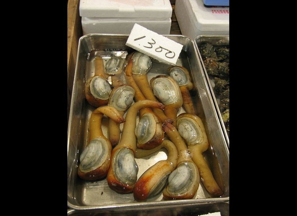 Geoduck 