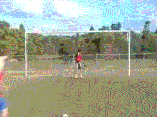 This attempt at a goal