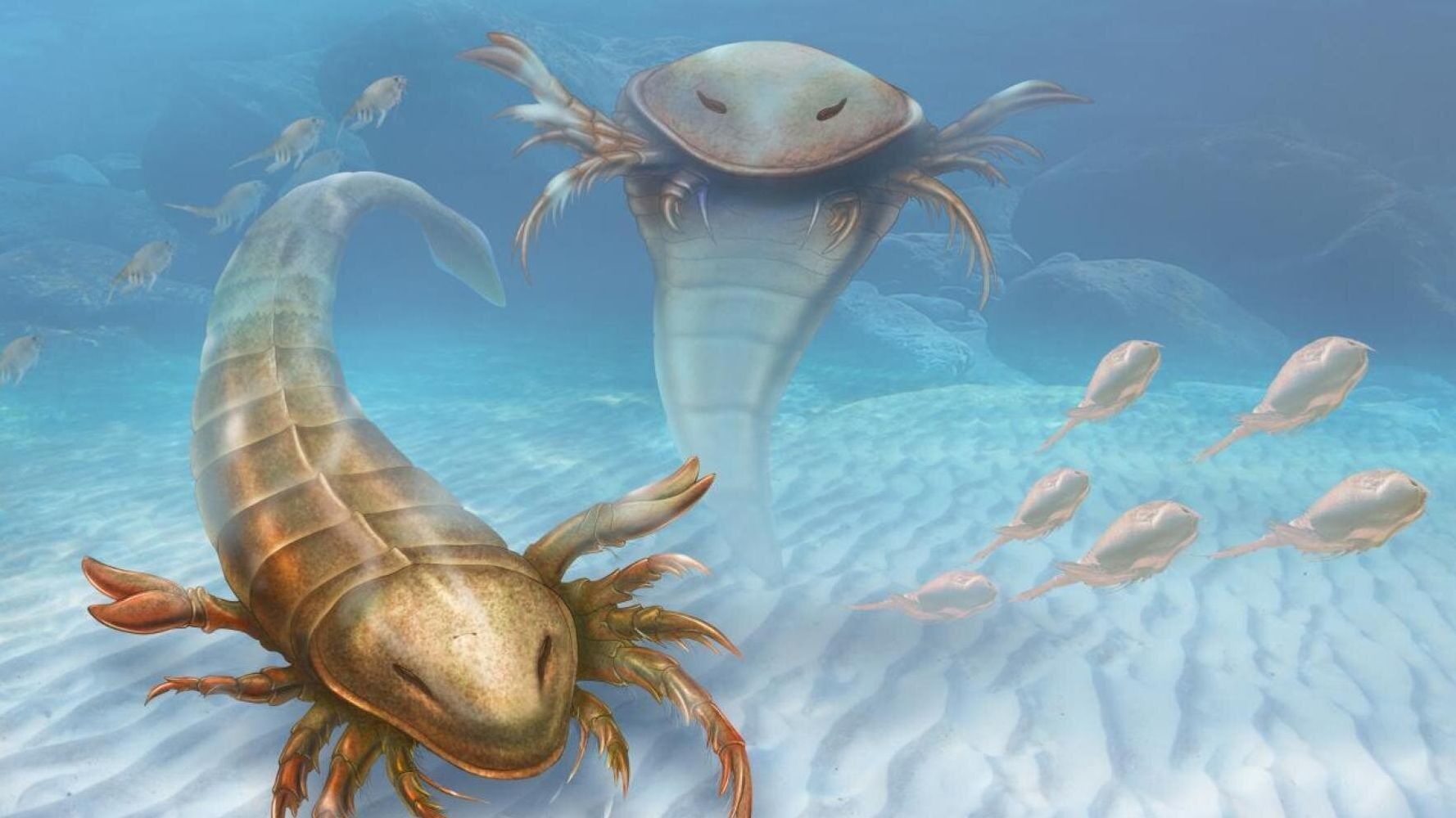 Scientists Discover 'Monster-Like Sea Scorpion Predator' That Roamed ...