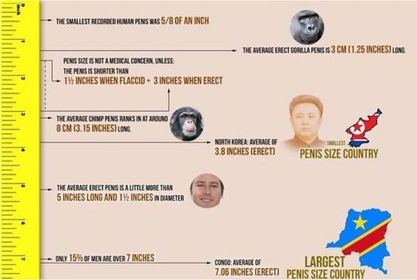 Insightful Maps Show The Difference Between Average Penis Size And