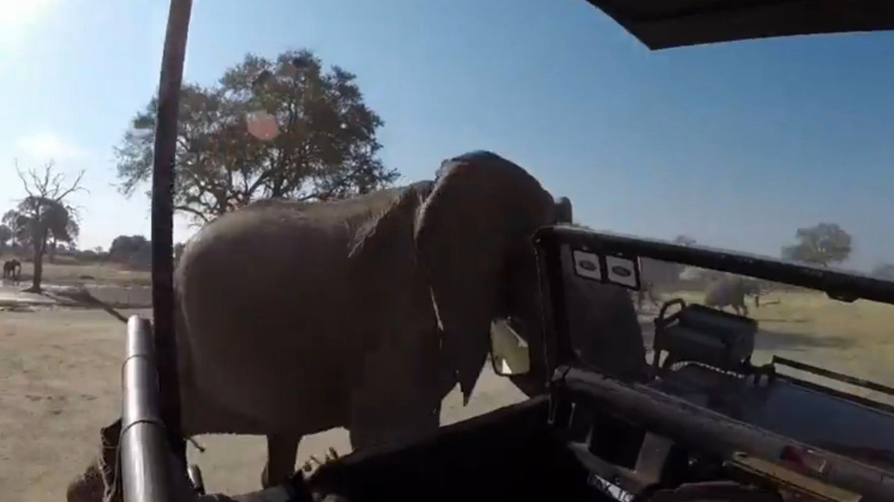 African Elephant Attacks Safari Truck During Fit Of Rage In Hwange Zimbabwe  | HuffPost UK News