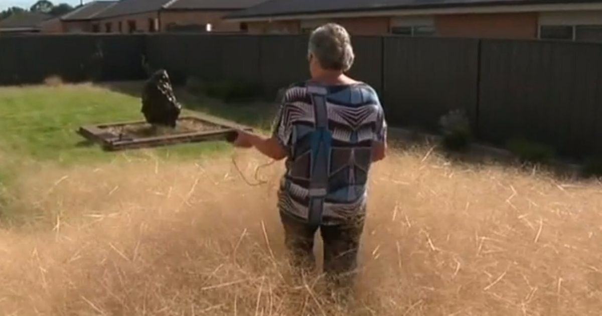 Hairy Panic Solution Thought Up By Council After Giant Tumbleweeds Invade Australian City