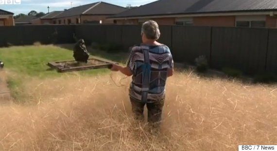 Hairy Panic Solution Thought Up By Council After Giant Tumbleweeds Invade Australian City