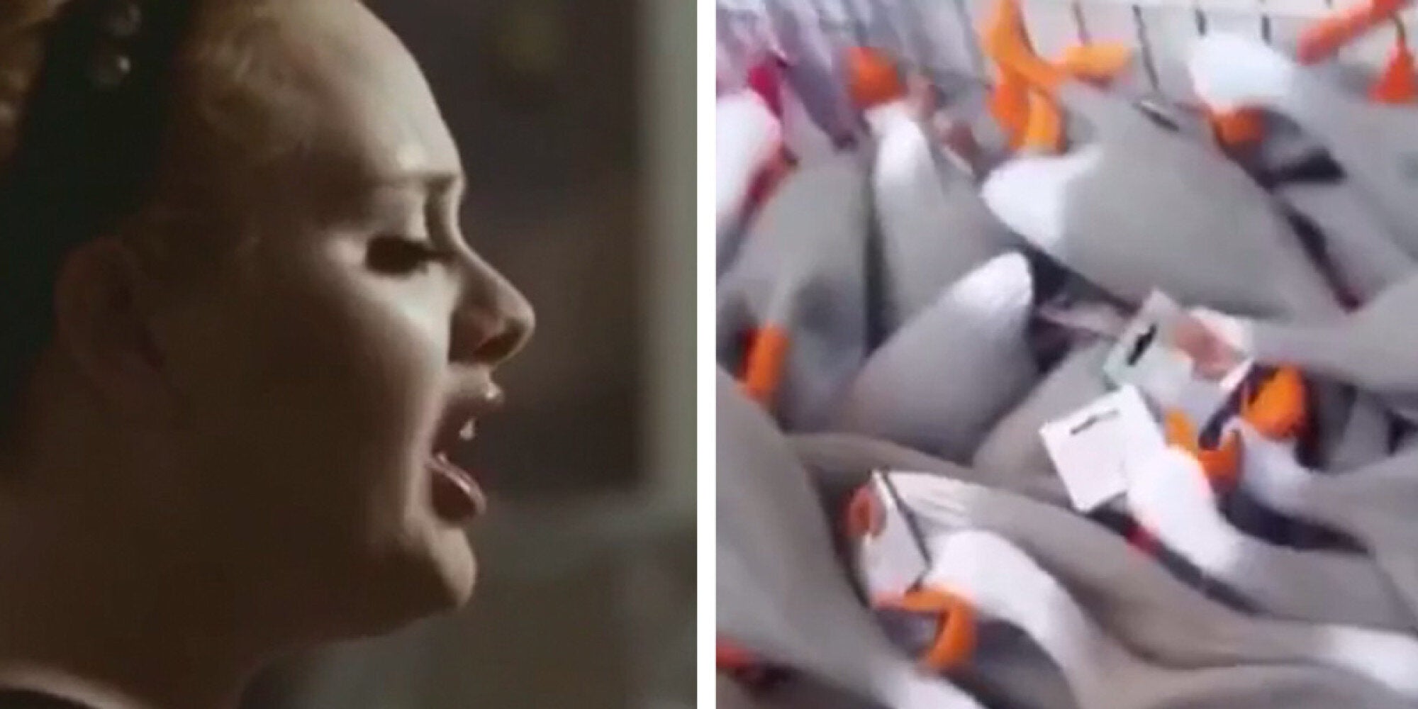 duck army vine