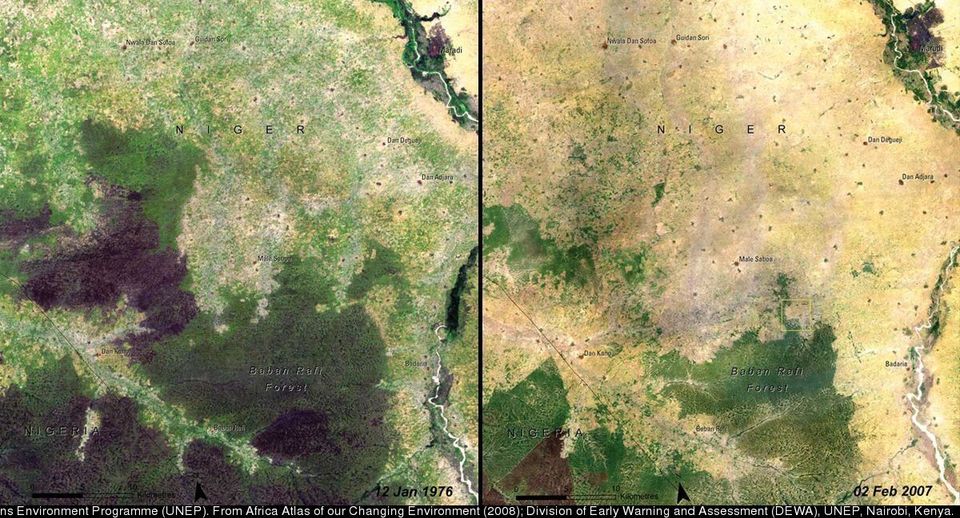 Deforestation In Niger