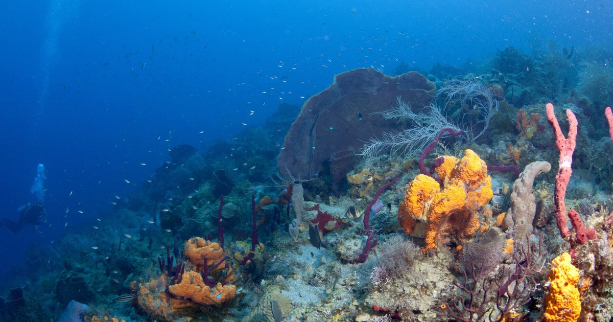 X Prize Asks Companies To Find Aliens On The Bottom Of The Ocean