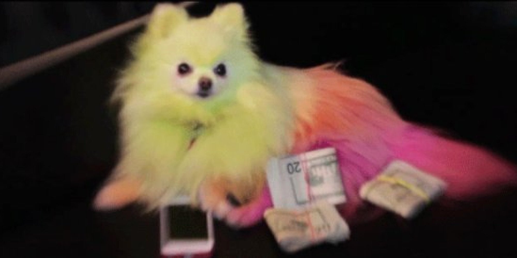 Rich Bitch Public Toy