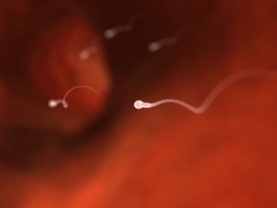 What Does Your Sperm Say About You? 