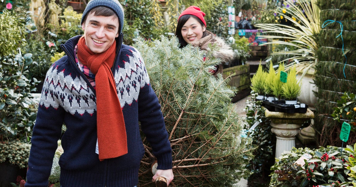 How To Keep A Real Christmas Tree Looking Fresh In Five Simple Steps