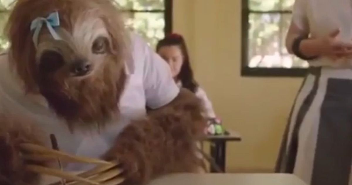 Stoner Sloth Roundly Mocked By Internet After Australias Nsw