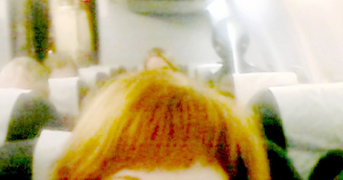 Russian Woman Believes She Was Photobombed By An 'Alien' After Posting ...