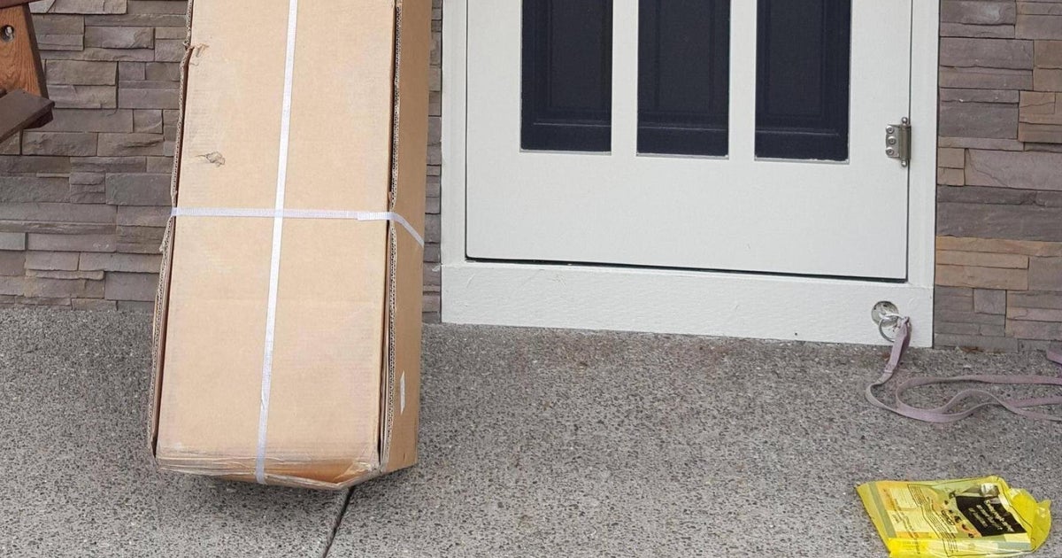 Delivery Driver Leaves Parcel Under The Mat As Instructed, Doesn't