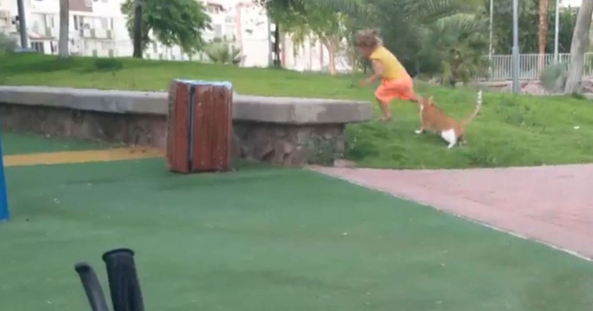 Funniest Instant Karma Fails 2015 Compilation Video | HuffPost UK Comedy