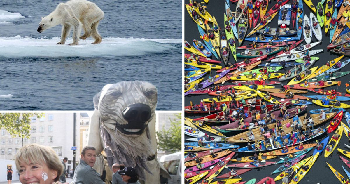 Greenpeace Pictures Reveal An Incredible Year For Environmental