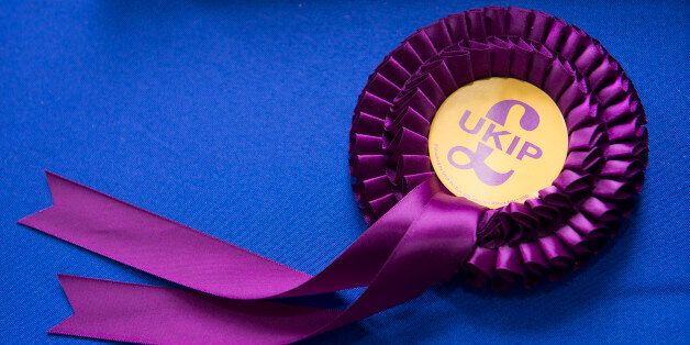 LLANDUDNO, WALES - FEBRUARY 27: UKIP Rosette at the UKIP Spring Conference on February 27, 2016 in Llandudno, Wales. UKIP's annual national Spring Conference is being held for the first time in Wales during the Welsh assembly election campaign. The elections for the National Assembly will take place on May 5 with polls predicting UKIP could win nine seats in the Senedd. (Photo by Richard Stonehouse/Getty Images)