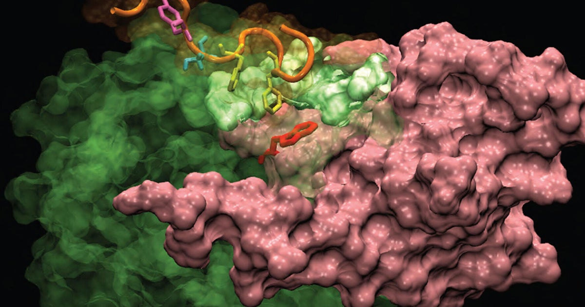 Cancer Vaccine Breakthrough Early Data Suggests A Major Leap Forward - qwylpr7