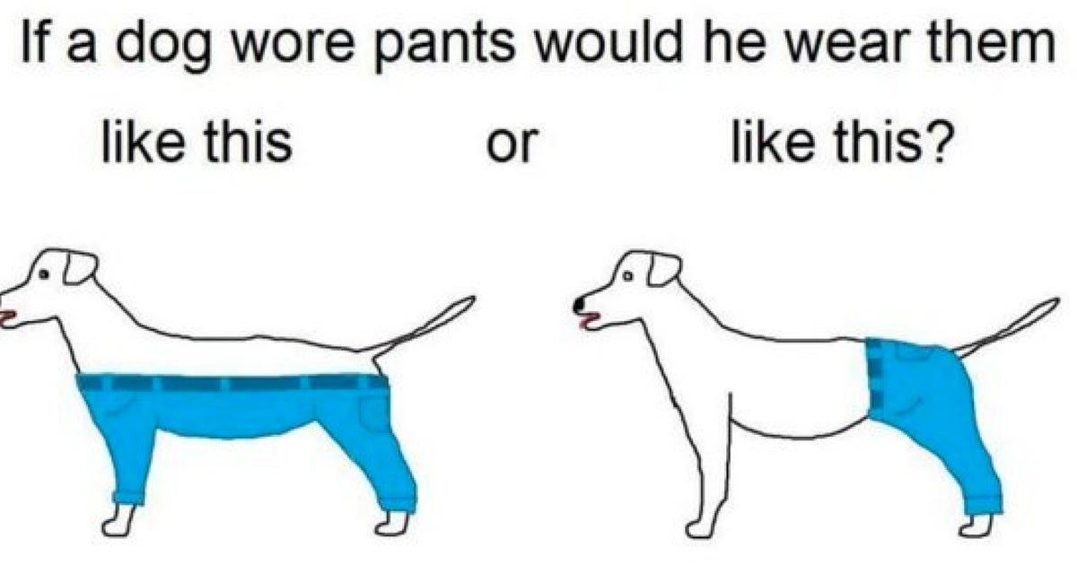 How Would A Dog Wear Pants Latest Viral Debate HuffPost UK Comedy