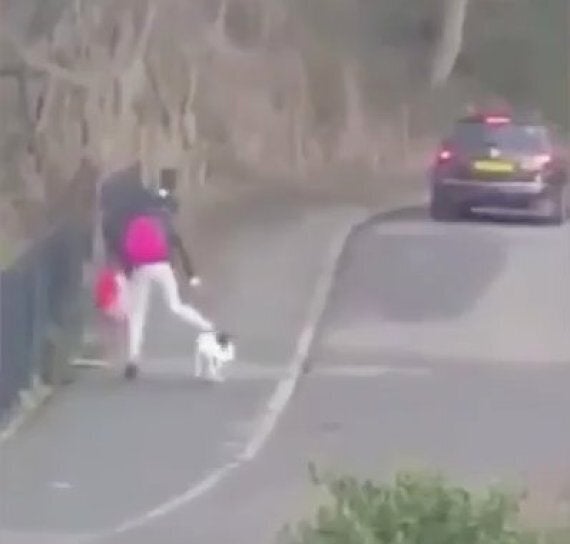 Woman Filmed Kicking Dog In Street In South Yorkshire Sparks RSPCA