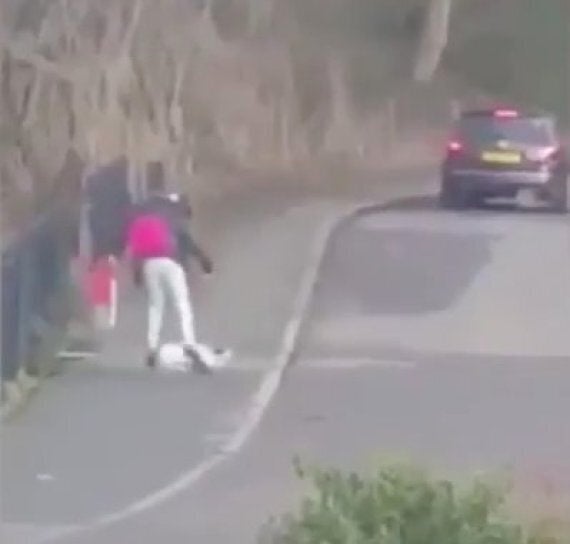 Woman Filmed Kicking Dog In Street In South Yorkshire Sparks RSPCA
