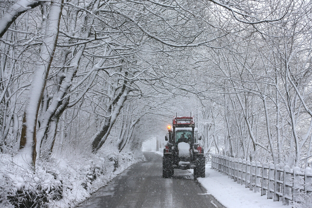 Travel Chaos As Snow Continues To Fall In Northern Parts Of The UK ...