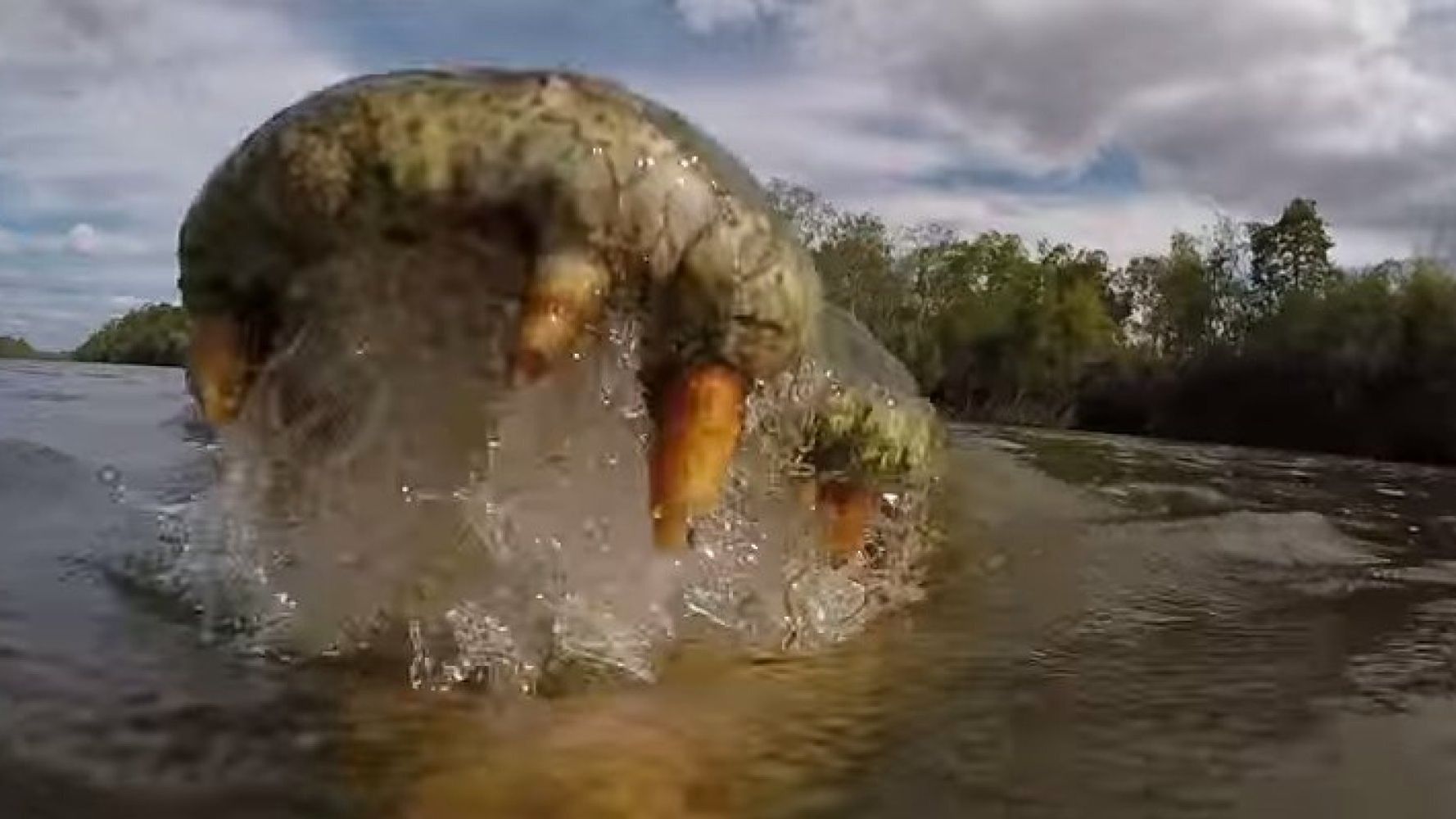 National Geographic Photographer Captures Stunning Video From Inside A ...