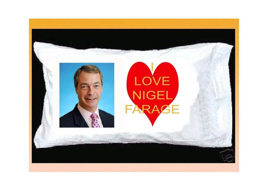 Nigel Farage pillowcase
