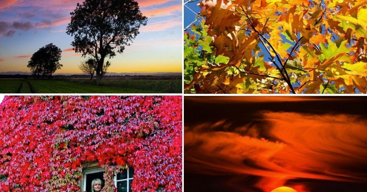 Autumnal Equinox 26 Spectacular Images To Mark Britain's Seasonal Beauty HuffPost UK News