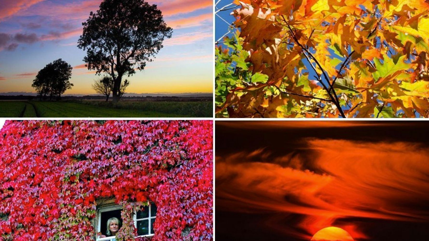 Autumnal Equinox : 26 Spectacular Images To Mark Britain's Seasonal ...