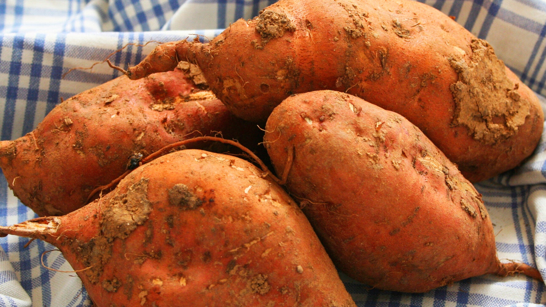 Sweet Potato Health Benefits Explained Why It's Good For Your Eyes And