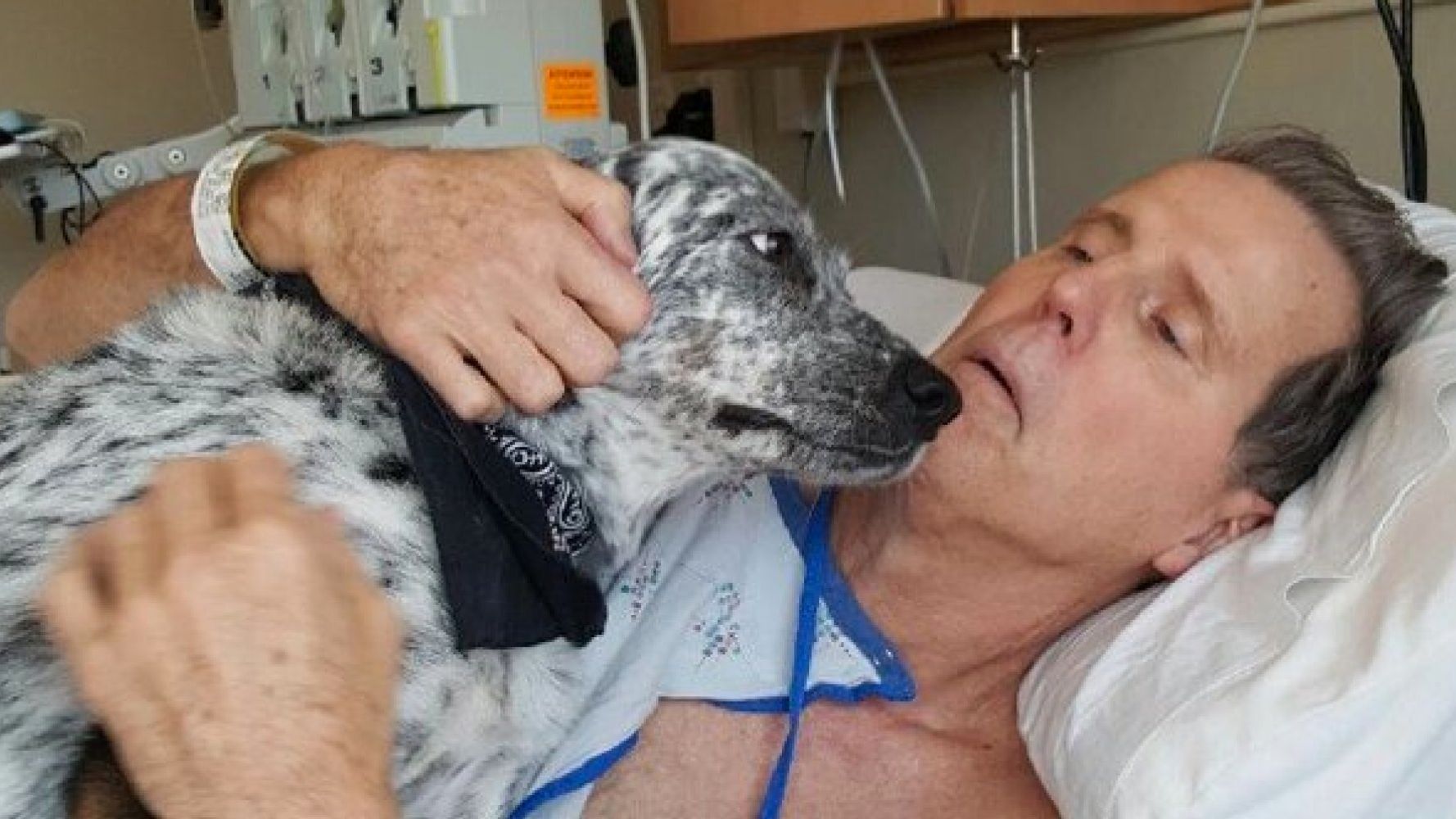 Touching Photograph Shows Dog Cuddling Owner In Hospital After Surgery ...