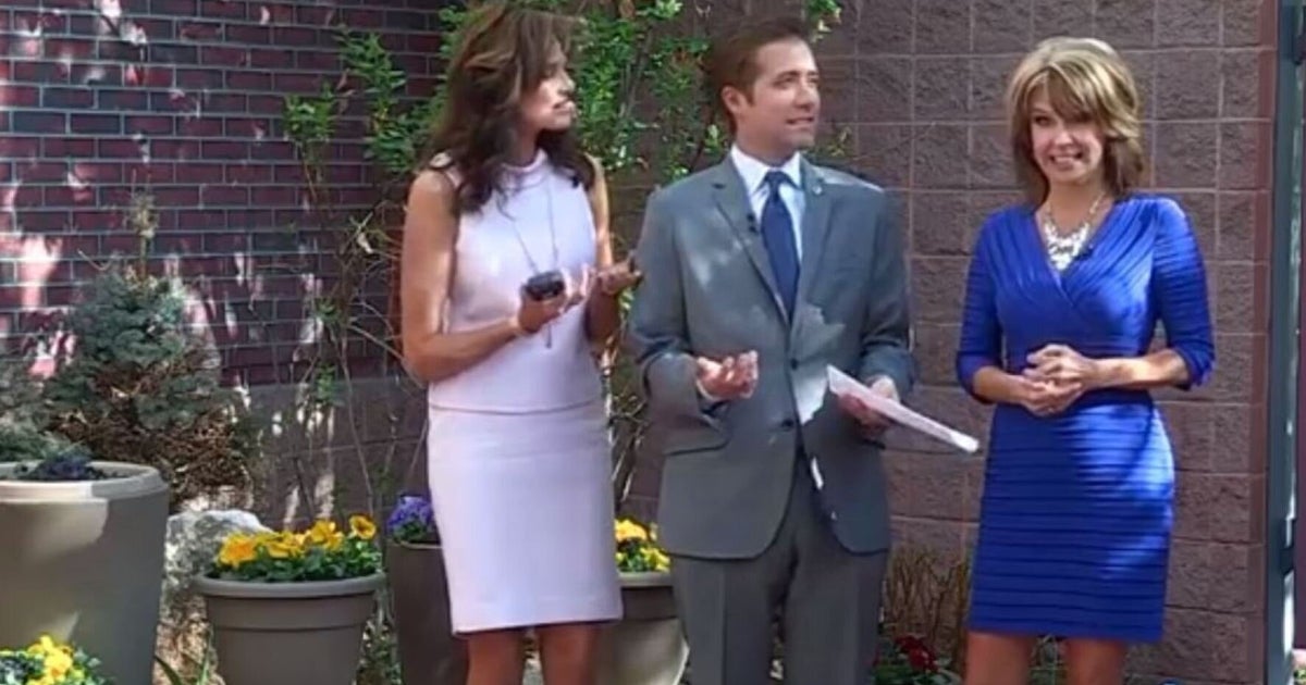 News Anchors Hate Each Other, Don't Mind Showing It On Live TV