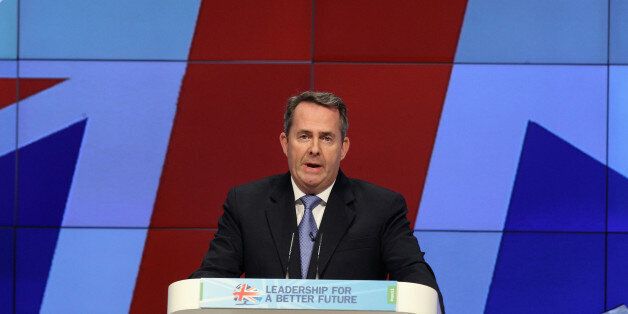 Liam Fox (Photo by Jeff J Mitchell/Getty Images)