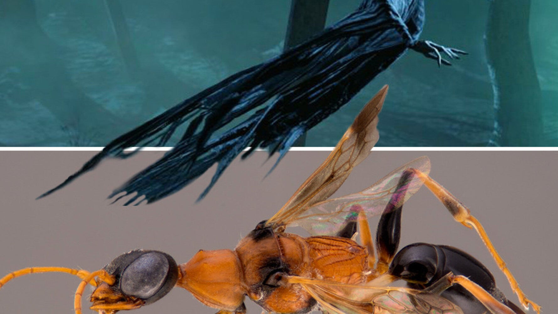 JK Rowling's Harry Potter Books Inspire Name For New 'Soul-Sucking ...