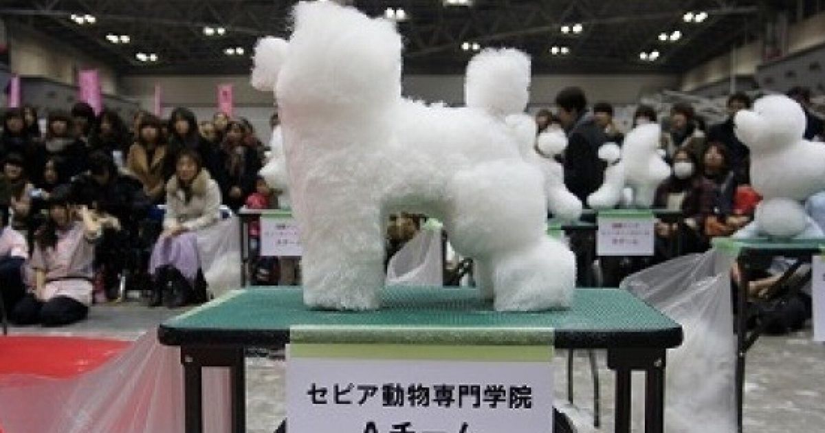 Cutting Dogs' Hair Into Cubes Is Actually A Thing In Japan | HuffPost ...