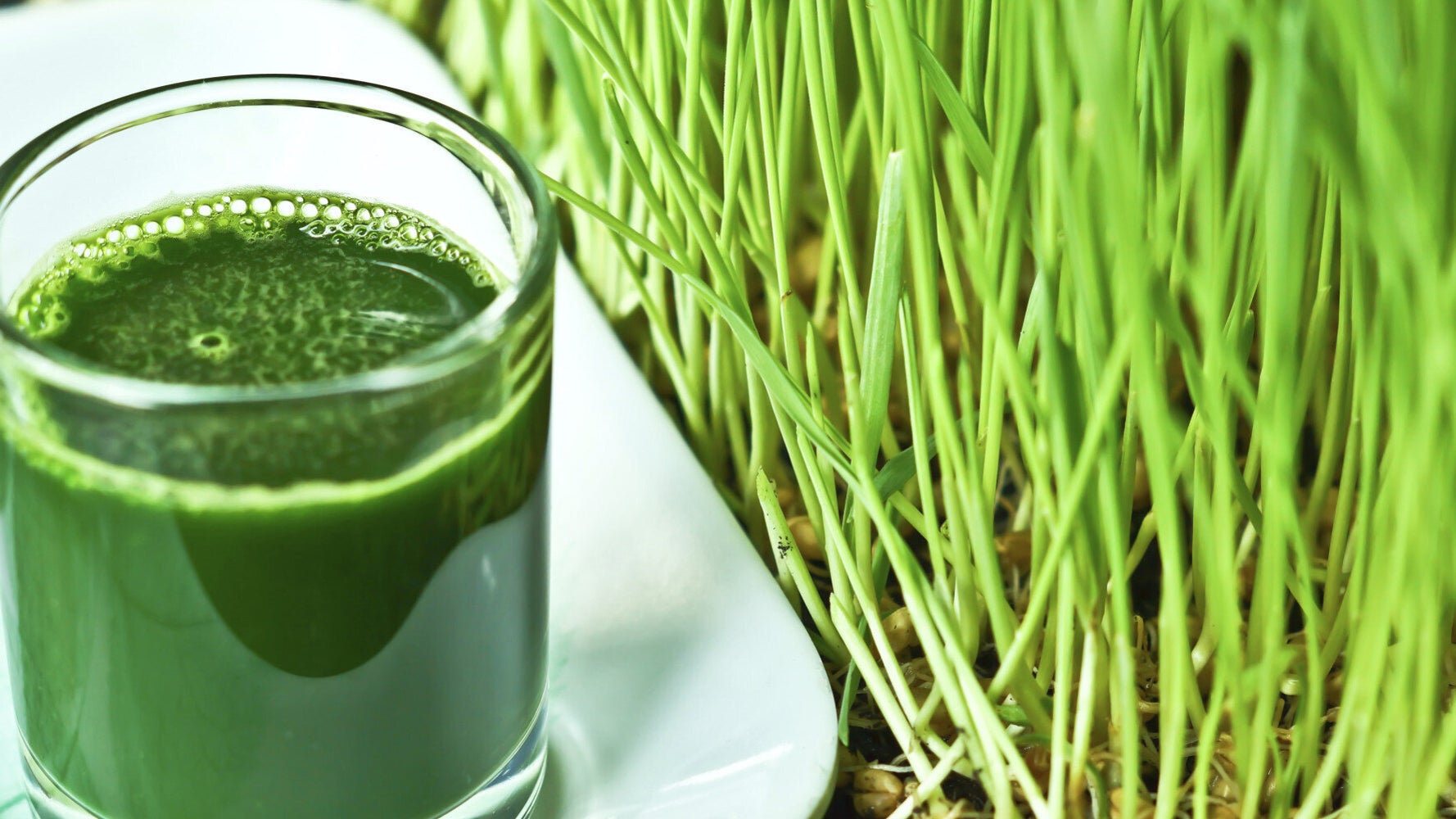 does-wheatgrass-contain-gluten-club-gluten-free