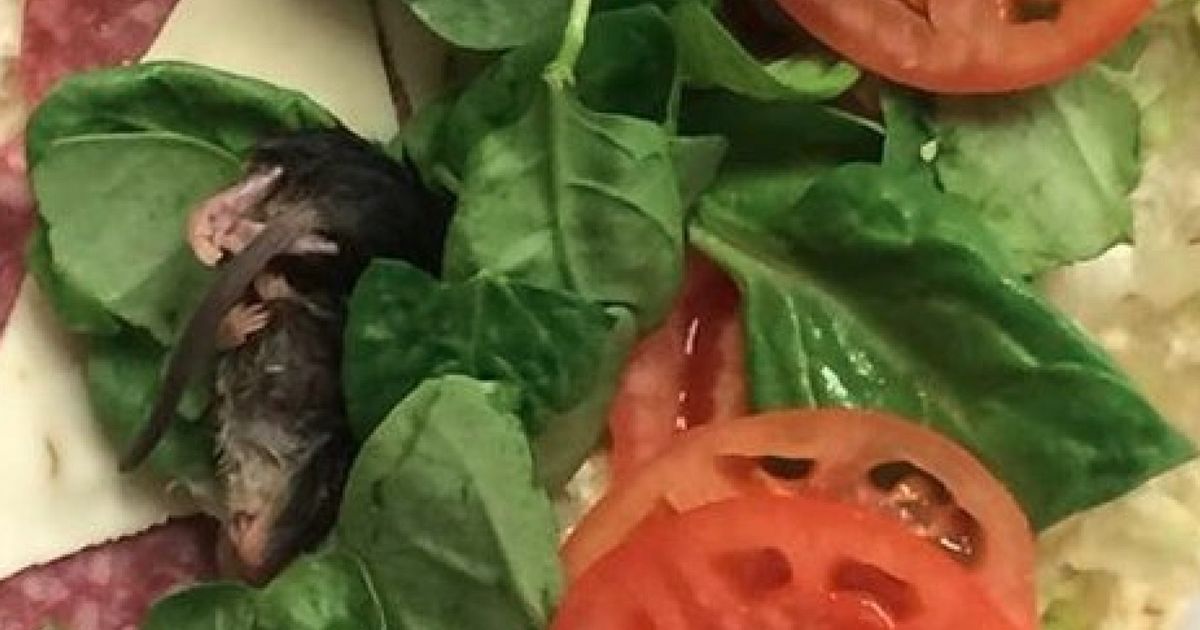 Subway Serve Up Dead Mouse Sandwich To Unlucky Customer Huffpost Uk