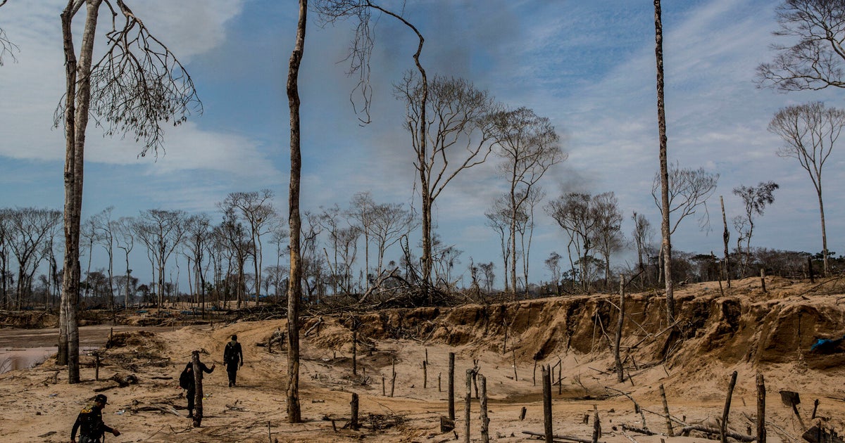 Illegal Logging Is Destroying The Amazon Rainforest. Meet The Man Who's