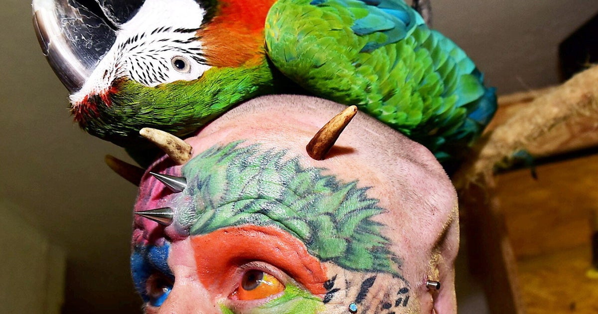 Ted Richards Has Ears Cut Off To Look More Like His Beloved Pet Parrots ...