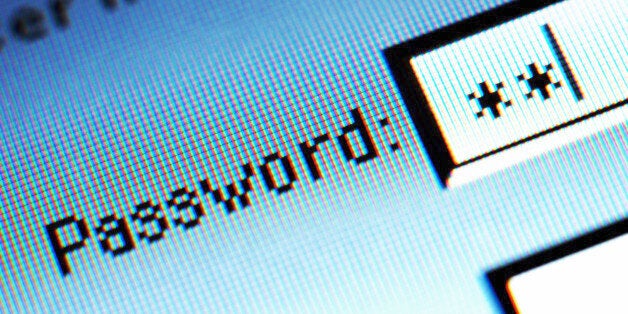 Password field on computer screen, detail