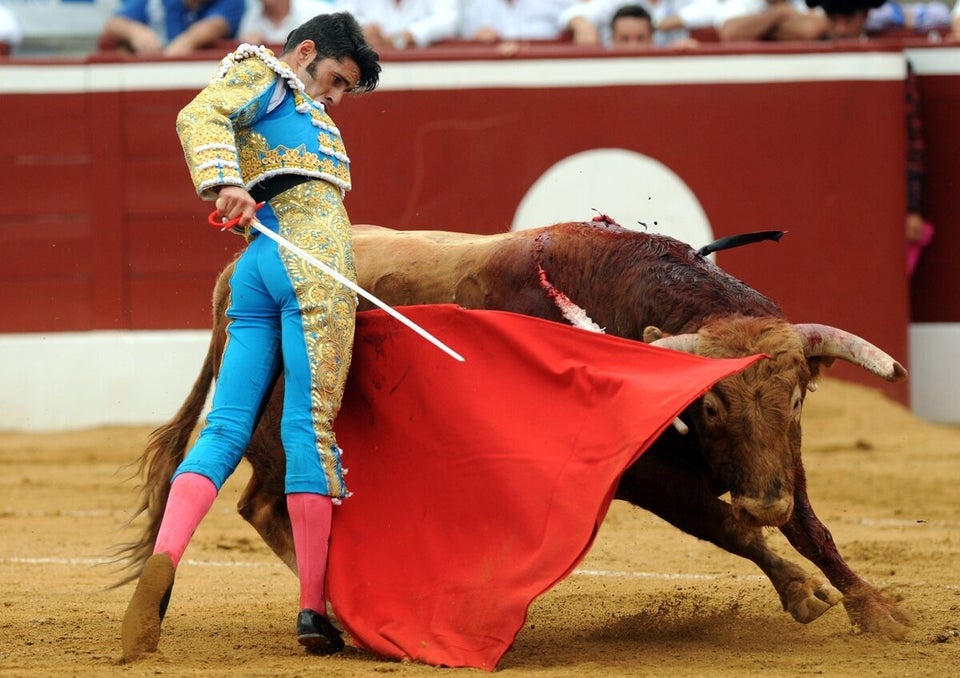 Bullfighting