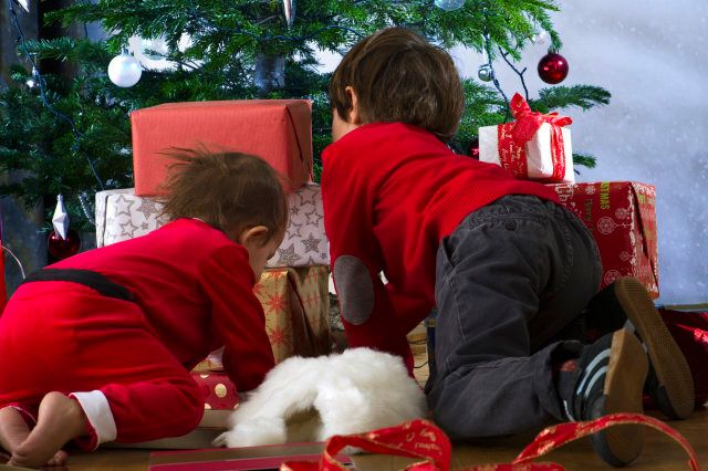 Young siblings kneeling before Christmas tree, opening presents, rear view