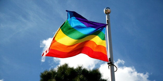 The pride rainbow flag as seen outside the Campus Activity Centre on April 9, 2014.