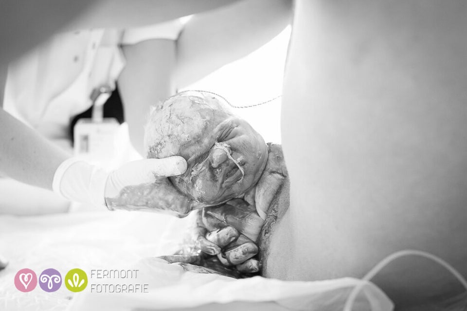 Dutch photographer Mary Fermont takes stunning photos moments after babies  are born