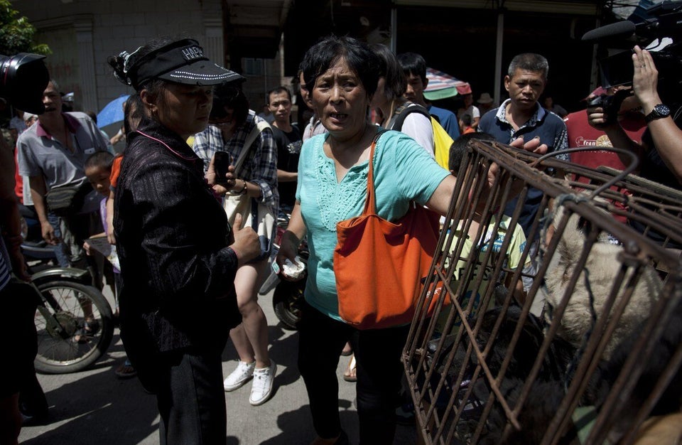  Yang Xiaoyun at Yulin Dog Meat Festival