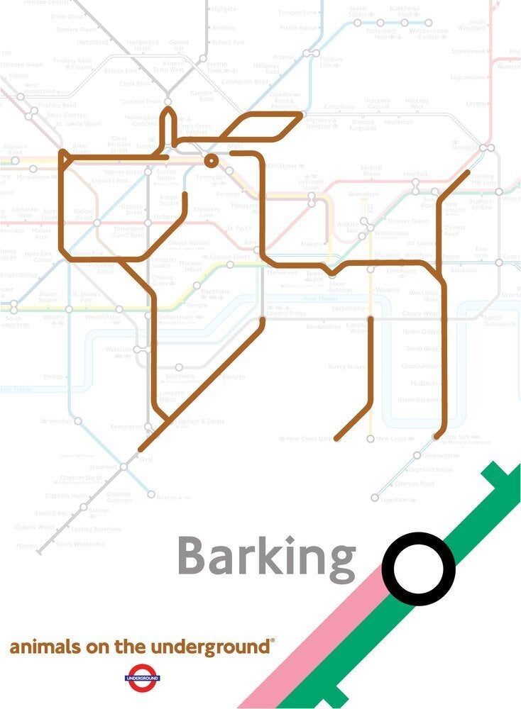 Barking, The Dog