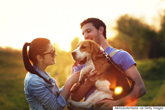 How To Find Love Study Suggests Dog Walking Helps Brits Meet Partners And Lifelong Friends HuffPost UK Life