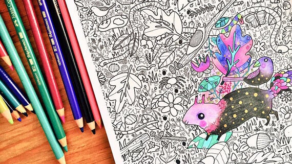 Coloring Books for Adults Are a Thing