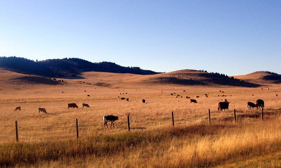 1. Alberta