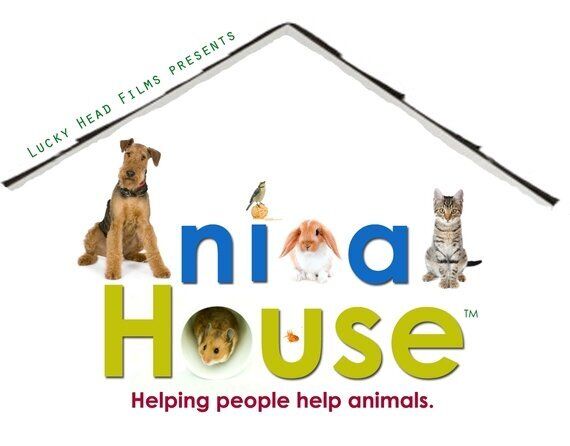 Animal House: Helping People Help Animals | HuffPost UK Life