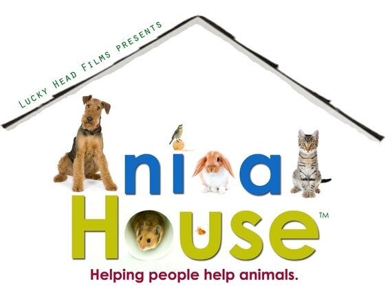 Animal House: Helping People Help Animals | HuffPost UK Life Animal House: Helping People Help Animals | HuffPost UK Life